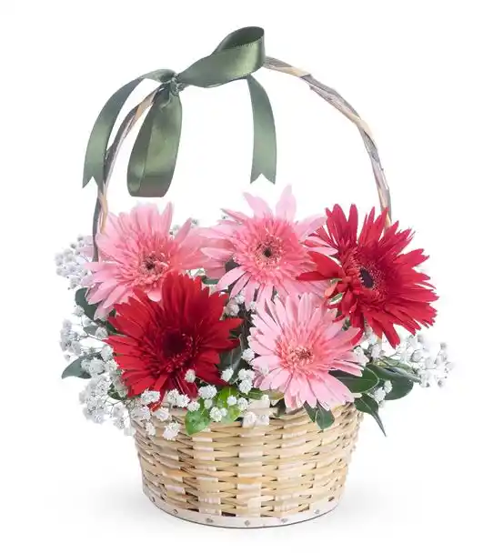 Sevimli 2 Kırmızı 3 Pembe Gerbera Çiçek Sepeti