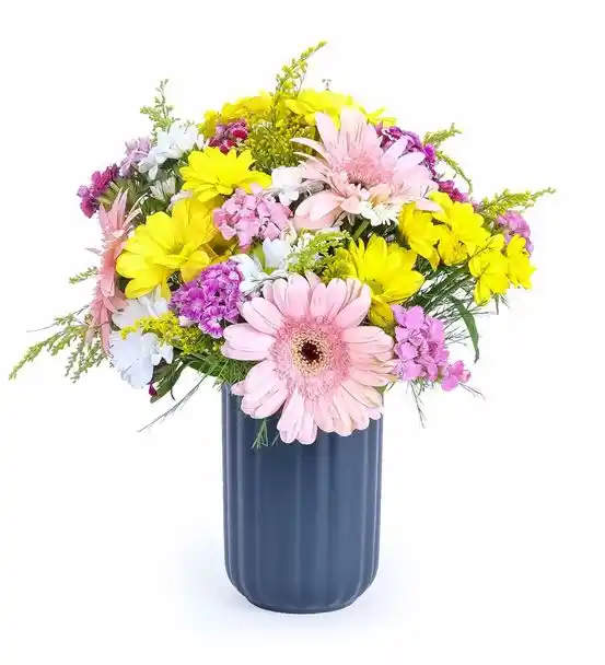 Güne Açılan Gün Renkli Çiçeklerin Enerjisi